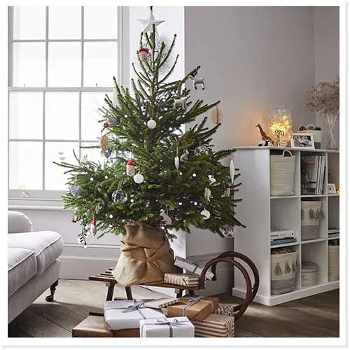 WE WISH YOU A MERRY CHRISTMAS