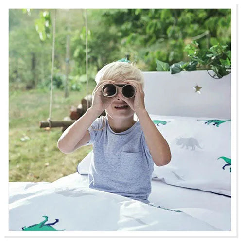 Room Inspiration: A Roar-some Dinosaur Themed Room