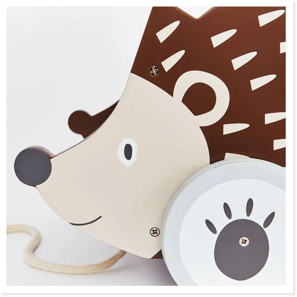 How to Make a Hedgehog House