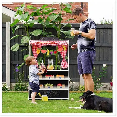 SET UP A FRESH FRUIT AND MOCKTAILS SHOP THIS SUMMER