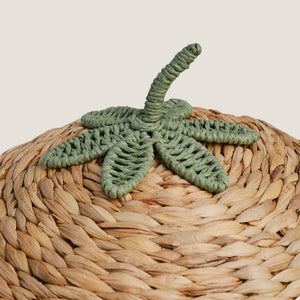 Water Hyacinth Storage Basket, Strawberry	
