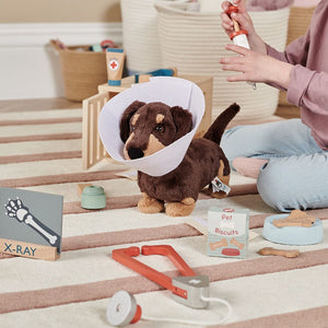 Wooden Toy Vet Set	