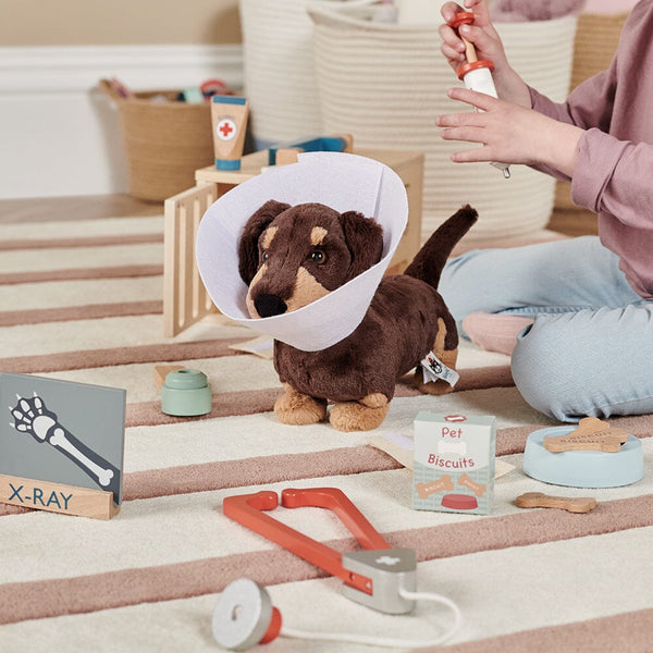 Wooden Toy Vet Set	