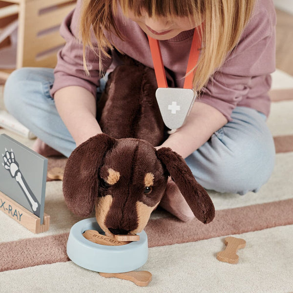 Wooden Toy Vet Set	