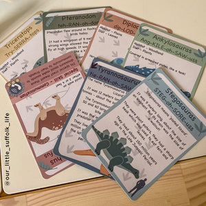 Wooden Toy Dinosaur Playset