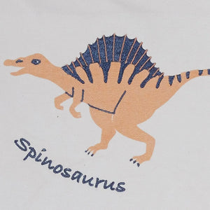 Wall Hanging, Dinosaur Explorer