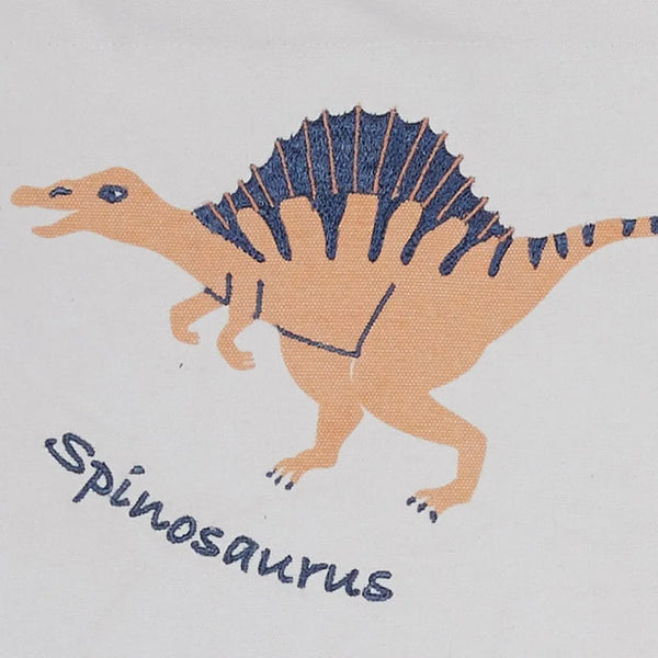 Wall Hanging, Dinosaur Explorer