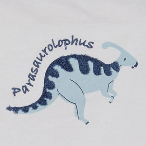 Wall Hanging, Dinosaur Explorer