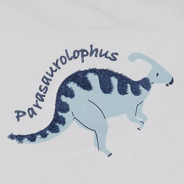 Wall Hanging, Dinosaur Explorer