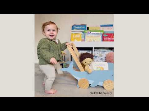 Wooden Walker, Whale